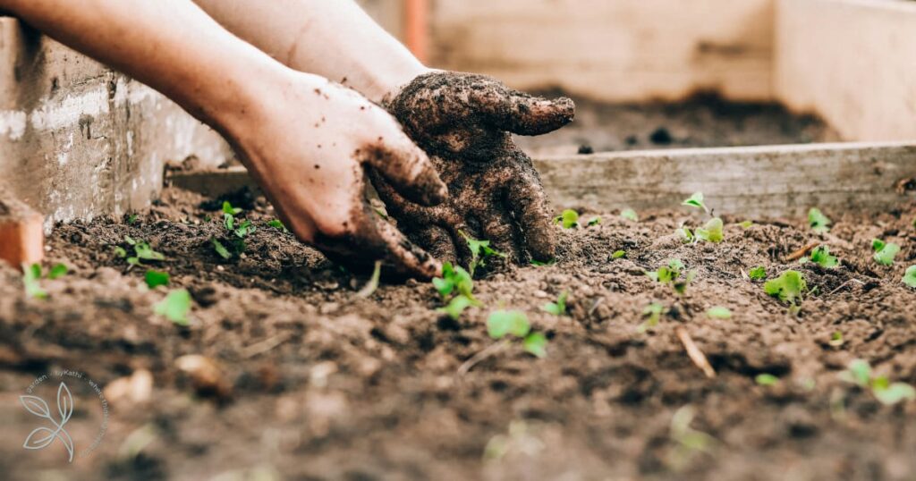 blank slate garden design